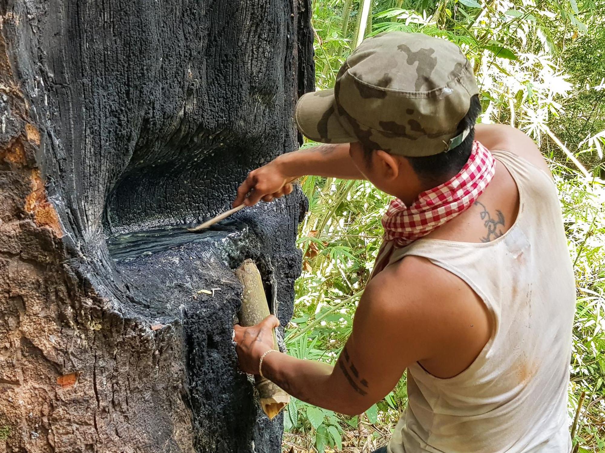 Ratanakiri Homestay & Jungle Trek Banlung Eksteriør billede